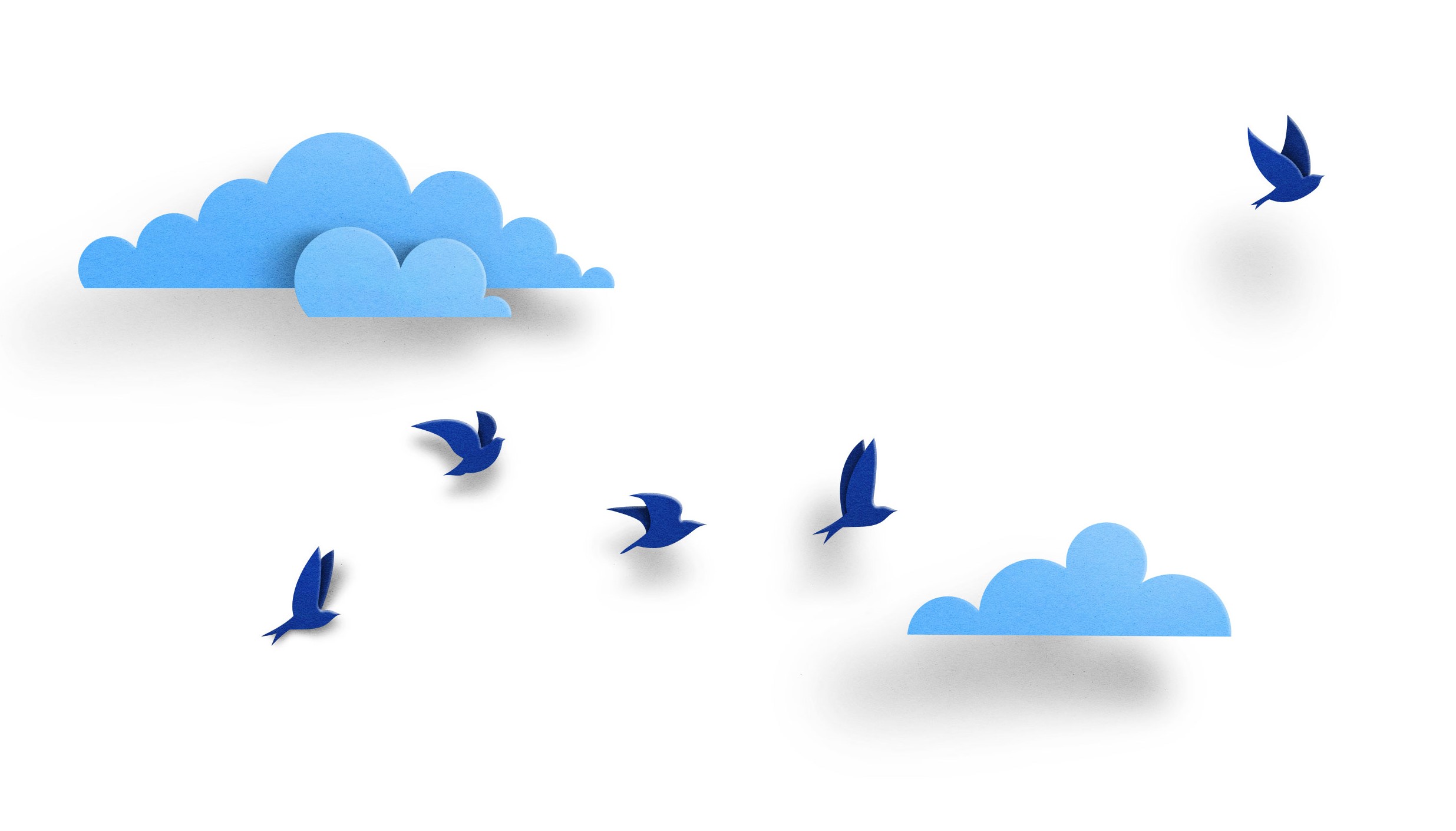 Birds in cloud illustration