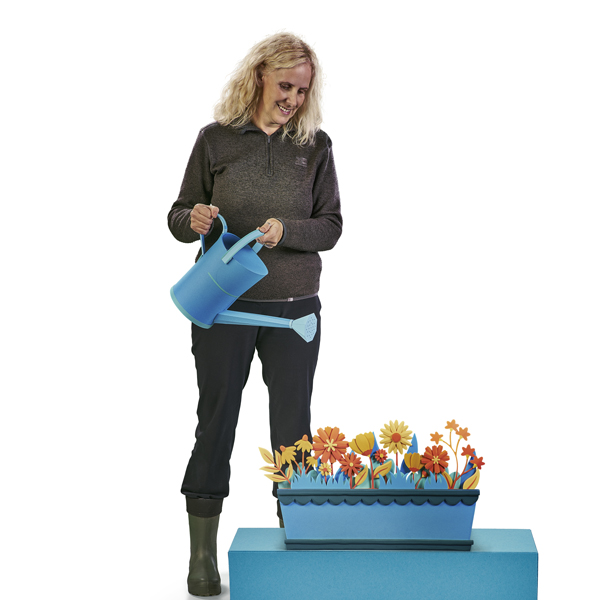 Sunny days banner image